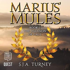 The Invasion of Gaul by S.J.A. Turney