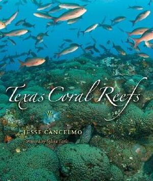 Texas Coral Reefs by Sylvia A. Earle, Jesse Cancelmo