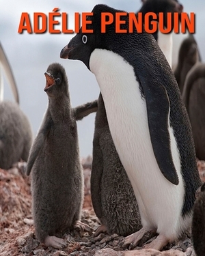 Adélie Penguin: Amazing Facts about Adélie Penguin by Devin Haines