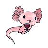 curious_axolotl's profile picture