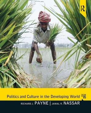 Politics and Culture in the Developing World by Richard Payne