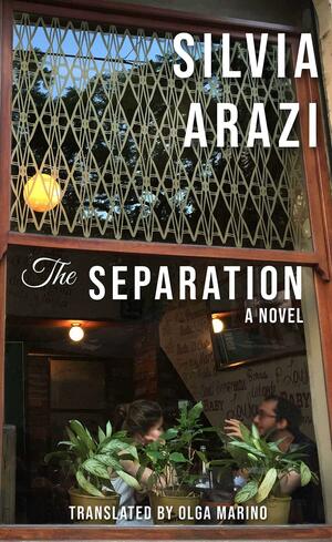 The Separation, A Novel by Silvia Arazi