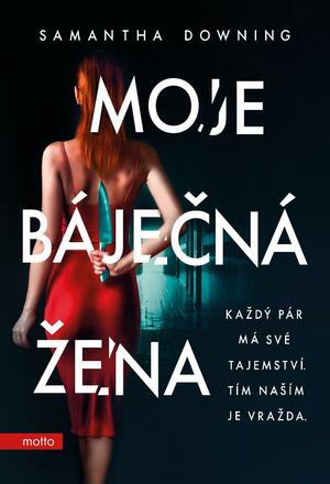 Moje báječná žena by Samantha Downing