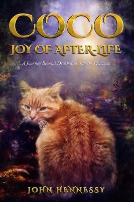 Coco: Joy of After-Life (A Journey Beyond Death and into the Heavens) by John Hennessy