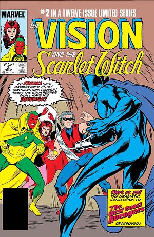 The Vision and the Scarlet Witch by Steve Englehart