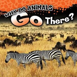 Why Do Animals Go There? by Jonathan Rosen