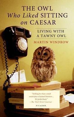 Living with a Tawny Owl The Owl Who Liked Sitting on Caesar (Paperback) - Common by Martin Windrow, Martin Windrow