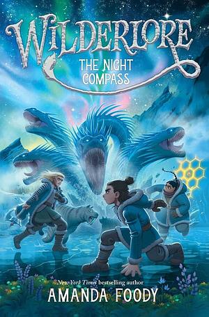 The Night Compass by Amanda Foody