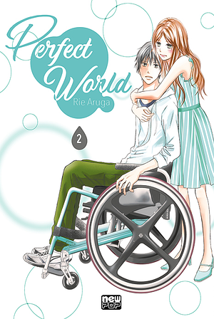 Perfect World, Vol. 2 by Rie Aruga