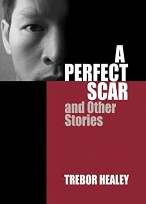 A Perfect Scar and Other Stories by Trebor Healey
