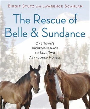 The Rescue of Belle and Sundance: One Town's Incredible Race to Save Two Abandoned Horses by Birgit Stutz, Lawrence Scanlan