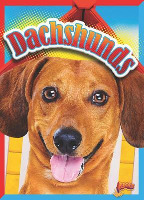 Dachshunds by Christa C. Hogan