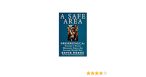 A Safe Area by David Rohde