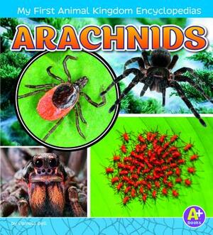 Arachnids by Pamela Dell