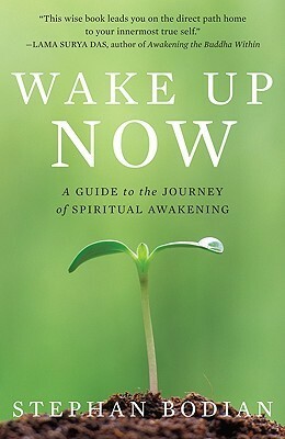 Wake Up Now: A Guide to the Journey of Spiritual Awakening by Stephan Bodian