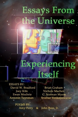 Essays From the Universe Experiencing Itself by David W. Bradford, Amy Perry, Joey Kim