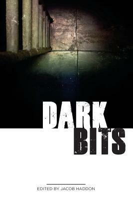 Dark Bits by Robert Ford, Jeremy Shipp, G. N. Braun