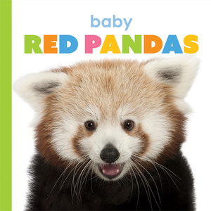 Baby Red Pandas by Kate Riggs