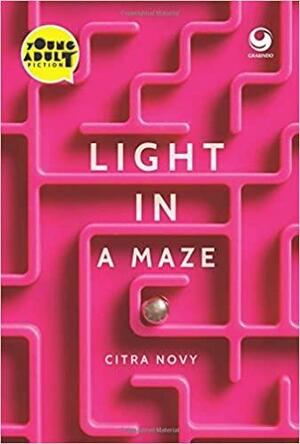 Light in a Maze by Citra Novy