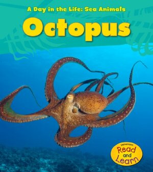 Octopus by Louise Spilsbury