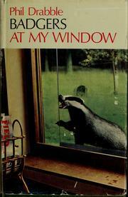 Badgers at My Window by Phil Drabble