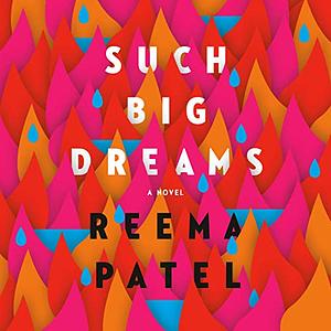 Such Big Dreams by Reema Patel