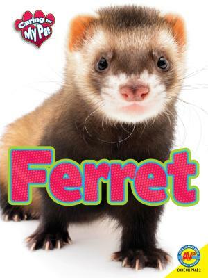 Ferret by Lynn Hamilton