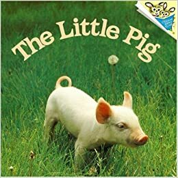 The Little Pig by Judy Dunn