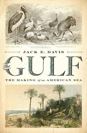 The Gulf: The Making of An American Sea by Jack E. Davis
