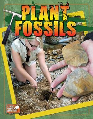 Plant Fossils by Natalie Hyde