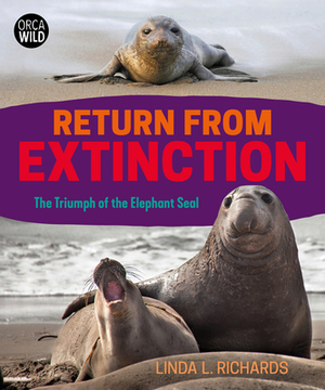 Return from Extinction: The Triumph of the Elephant Seal by Linda L. Richards
