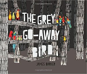 The Grey Go-Away Bird by James Barker