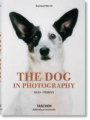 The Dog in Photography 1839 - Today by Raymond Merritt