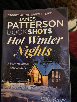 Hot Winter Nights by Codi Gary, James Patterson