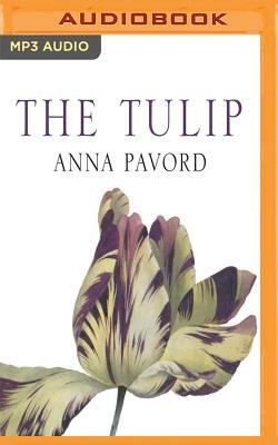 The Tulip by Anna Pavord