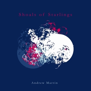 Shoals of Starlings by Andrew Martin