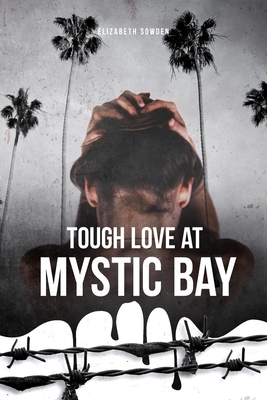 Tough Love at Mystic Bay by Rebecca Dimyan, Elizabeth Sowden