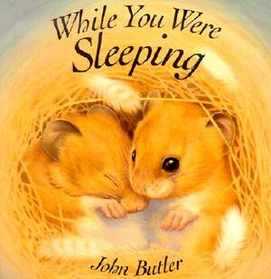 While You Were Sleeping by John Butler