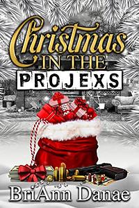 Christmas In The Projexs by BriAnn Danae