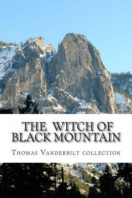 The Witch of Black Mountain by Danny Davis