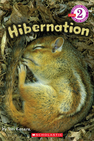 Hibernation by Tori Kosara