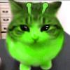 gh00st13's profile picture