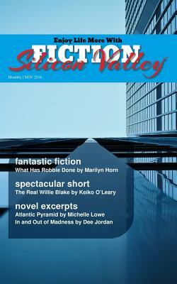 FICTION Silicon Valley: Monthly NOV 2016 by Steve Dewinter