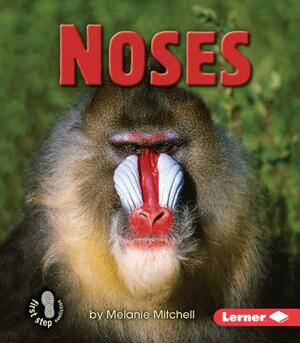 Noses by Melanie Mitchell