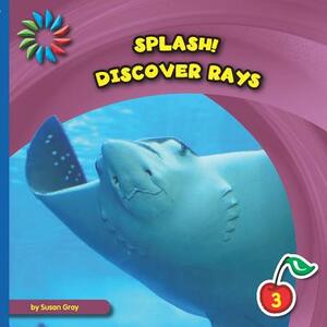 Discover Rays by Susan H. Gray