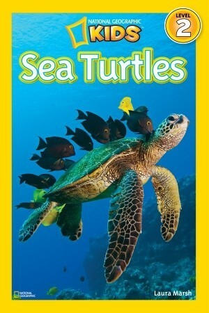 Sea Turtles (National Geographic Readers) by National Geographic Kids, Laura Marsh