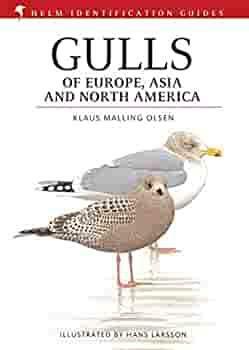 Gulls of Europe, Asia and North America by Klaus Malling Olsen