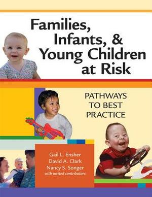 Families, Infants, and Young Children at Risk: Pathways to Best Practice by Gail Ensher, The Late Nancy Songer, David Clark