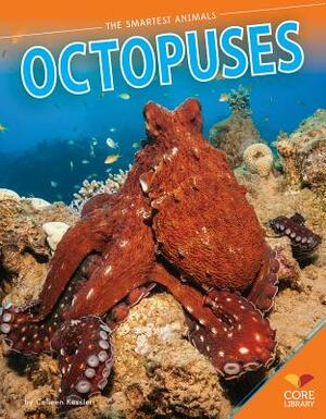 Octopuses by Colleen Kessler
