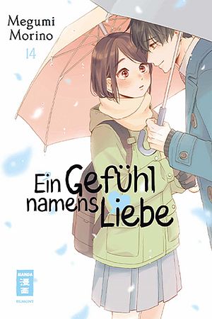 Ein Gefühl namens Liebe, Band 14 by Megumi Morino